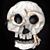 Francine Paul's profile image