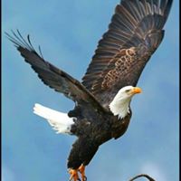 Silvana Andrea Martinez's profile image