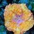 Minnie Kostoff's profile image