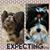 Melissa Felty Porterfield's profile image
