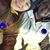 Mary Ann Raxter McCall's profile image