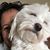 Nicole Maxwell's profile image