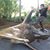 Jason Lee's profile image