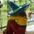 Deb Schutz's profile image