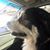 Wendy J Gerdes's profile image