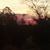 Laurie Donley's profile image