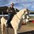 David L. Thom's profile image