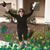 Wendy Plotzker Posner's profile image