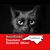 Nancy Douglas Haywood's profile image