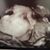 Brittany Bloom's profile image