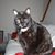 Karen Ouellette's profile image