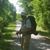 Tom Thalmann's profile image