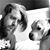 Johnny Quattlebaum's profile image