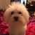 Elizabeth Claudia's profile image