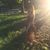 Frannie Gordon's profile image