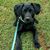 Debra Cullen Mills's profile image