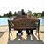 Lynda Woolery's profile image