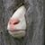 George B. Smith's profile image