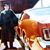Tom Ruggiero's profile image