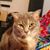 Tony Fishback's profile image
