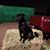 Kat Radcliffe's profile image