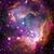 Alejandra Preciado Castillo's profile image
