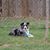 Rebecca Northrup's profile image