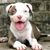 Lori Sherrer's profile image
