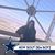 Annette Kendall Rubottom's profile image