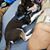 Sabrina Marie Puentes's profile image