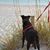 Tamra Lockard's profile image