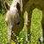 Keli Musil's profile image