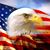 Chris A Widlacki's profile image