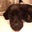 Michael Silverman's profile image