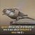 Sandhu Gurnam Singh's profile image