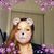 Panda Shar's profile image