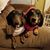 Kristen Frisbie-Hoose's profile image