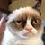 Rich Hargan's profile image