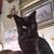 Kathy Baldwin Bishop's profile image