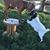 Robin Spayd Crowe's profile image