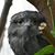 Chris Ontiveros's profile image