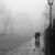 Gatto Mammone's profile image