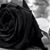 Kimberly Cisneros's profile image