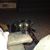 Pat Lucci's profile image