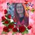 Alma Ibrahimovic's profile image