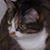 Nicole Turner's profile image