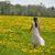 Kristin Betthauser's profile image