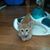 Linda Foster's profile image