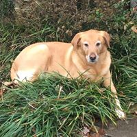 Angie Martin Davis's profile image