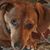 Jennifer Thompson Haertling's profile image
